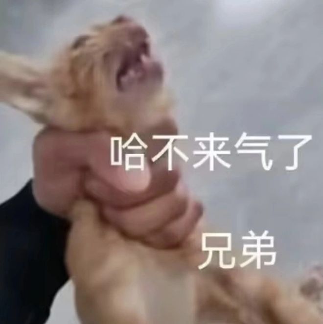 码影片的大罪人监狱都被民间礼物塞满了…mg不朽情缘游戏网站给日本人提供不打(图1)