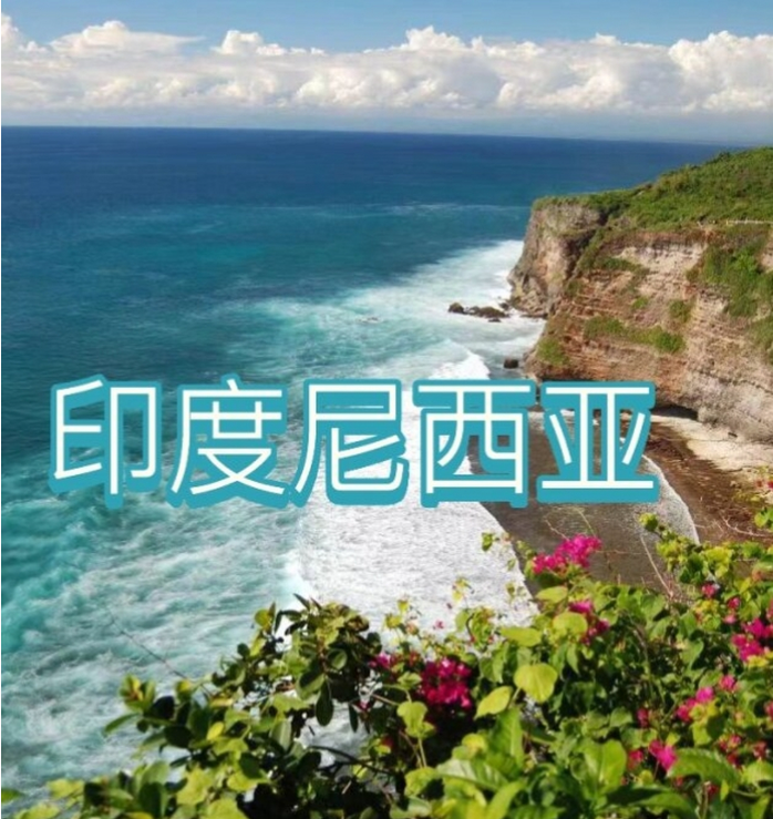 国际电商(印尼)产业博览会不朽情缘网站2025中国