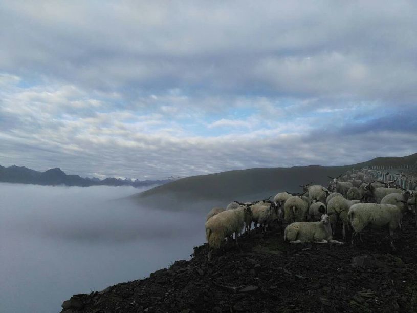 大美中国】达瓦更扎看云海不朽情缘平台登录入口【(图2) 大美中国】达瓦更扎看云海不朽情缘平台登录入口【(图2)