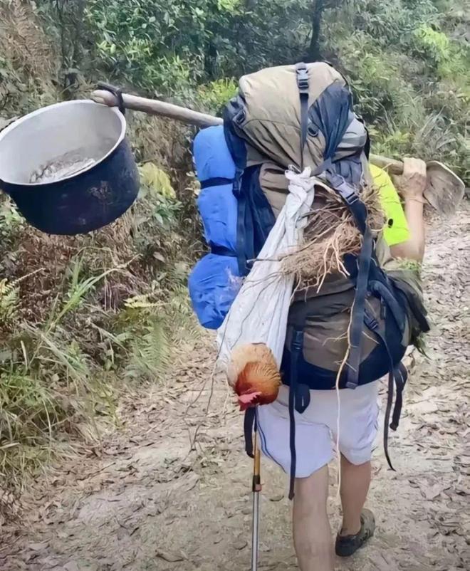 步人登山喜欢带着活鸡?不朽情缘app为何徒(图13) 步人登山喜欢带着活鸡?不朽情缘app为何徒(图13)